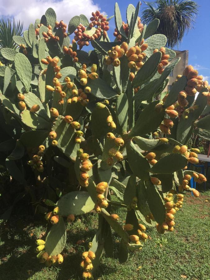 Il Giardino Degli Agrumi Caserta Dış mekan fotoğraf