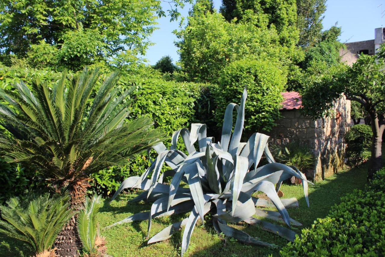 Il Giardino Degli Agrumi Caserta Dış mekan fotoğraf
