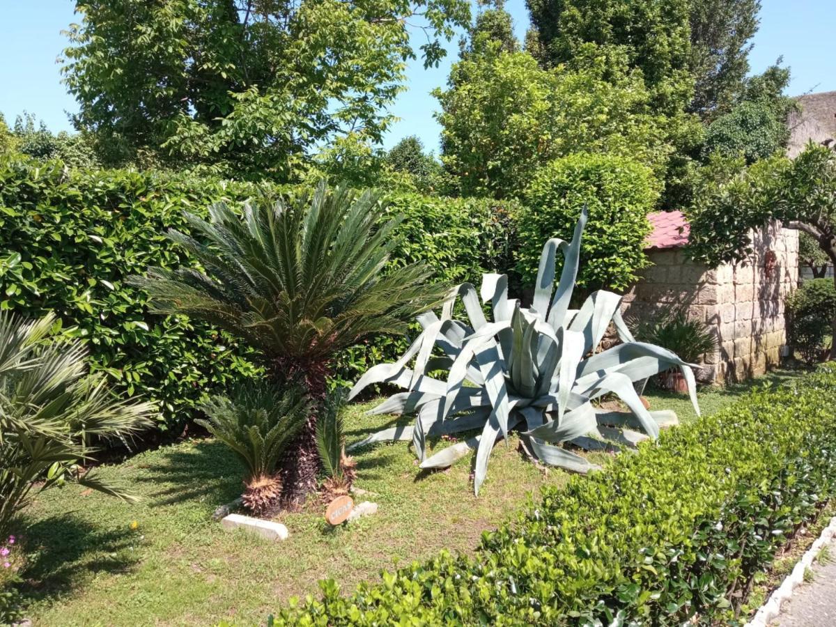 Il Giardino Degli Agrumi Caserta Dış mekan fotoğraf
