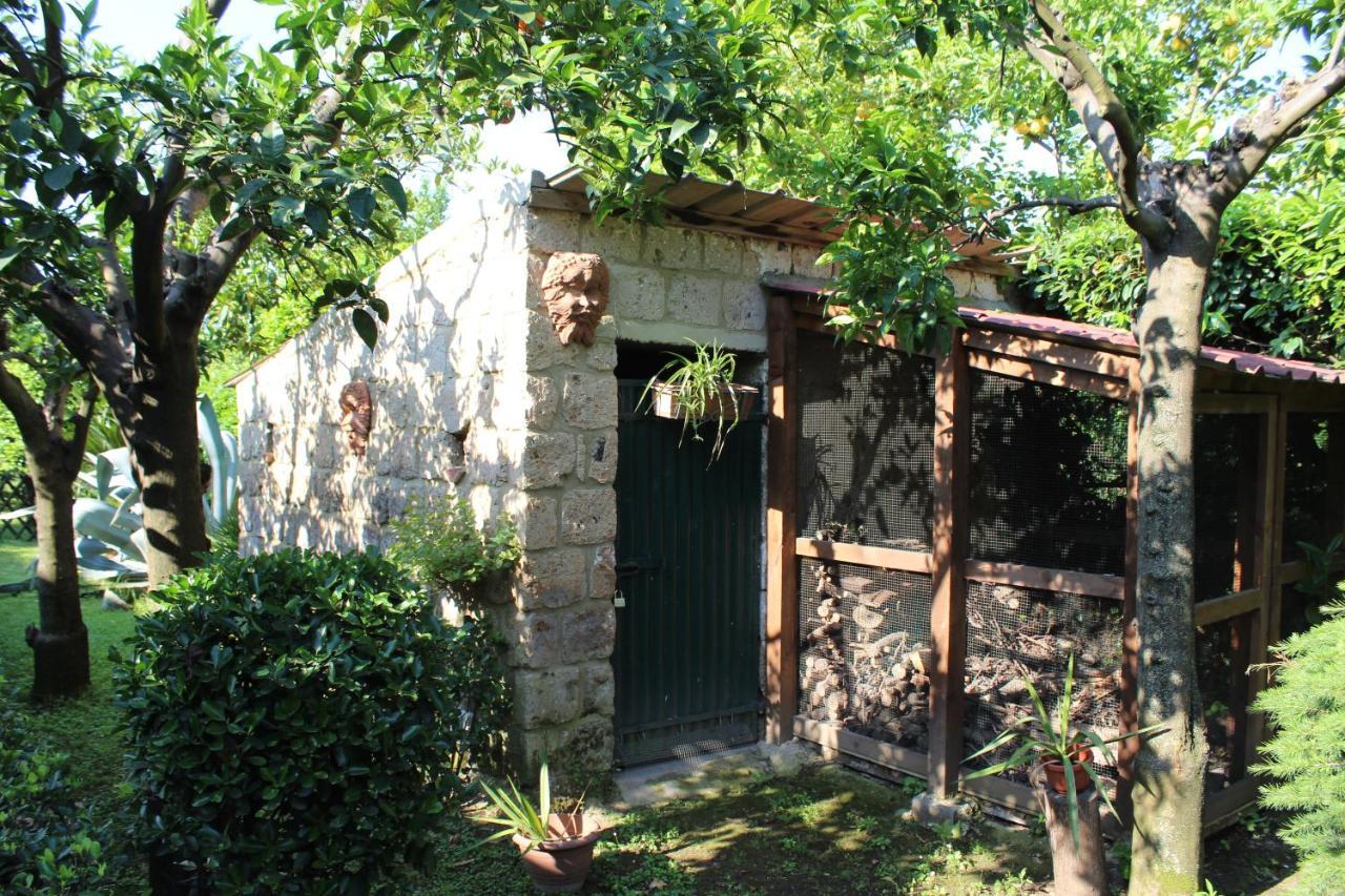 Il Giardino Degli Agrumi Caserta Dış mekan fotoğraf