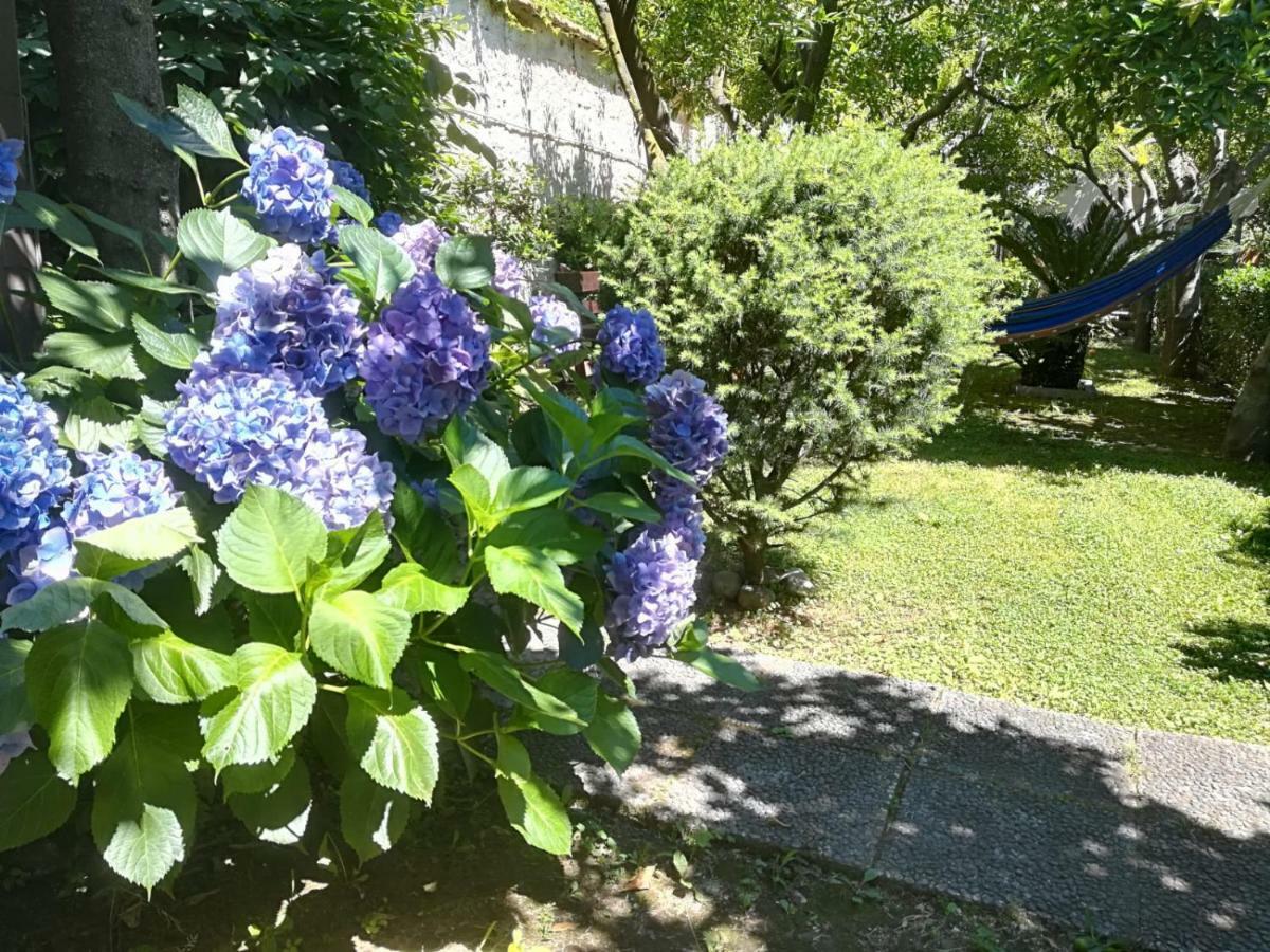 Il Giardino Degli Agrumi Caserta Dış mekan fotoğraf