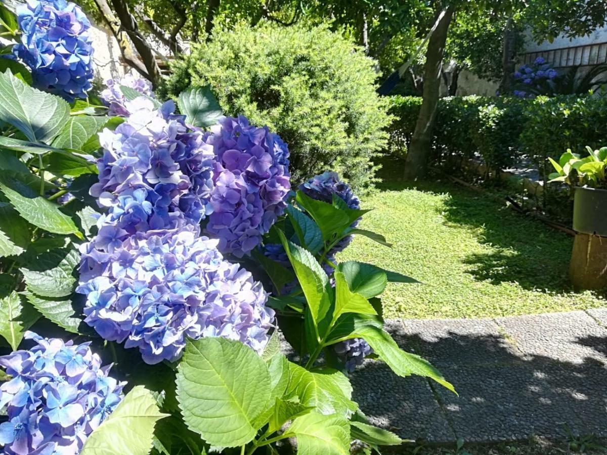 Il Giardino Degli Agrumi Caserta Dış mekan fotoğraf